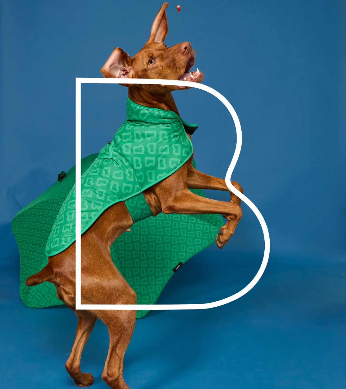 Parks & Puddles Dog Jackets | BLUNT Umbrellas USA