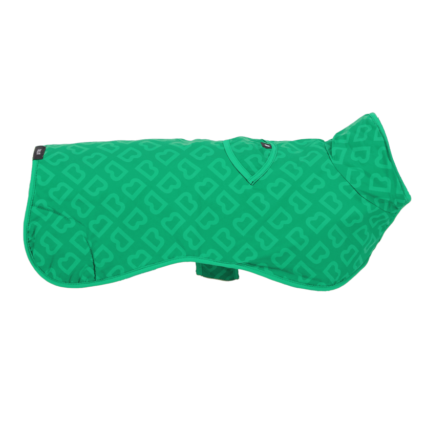 parks-puddles-dog-jackets-blunt-umbrellas-usa