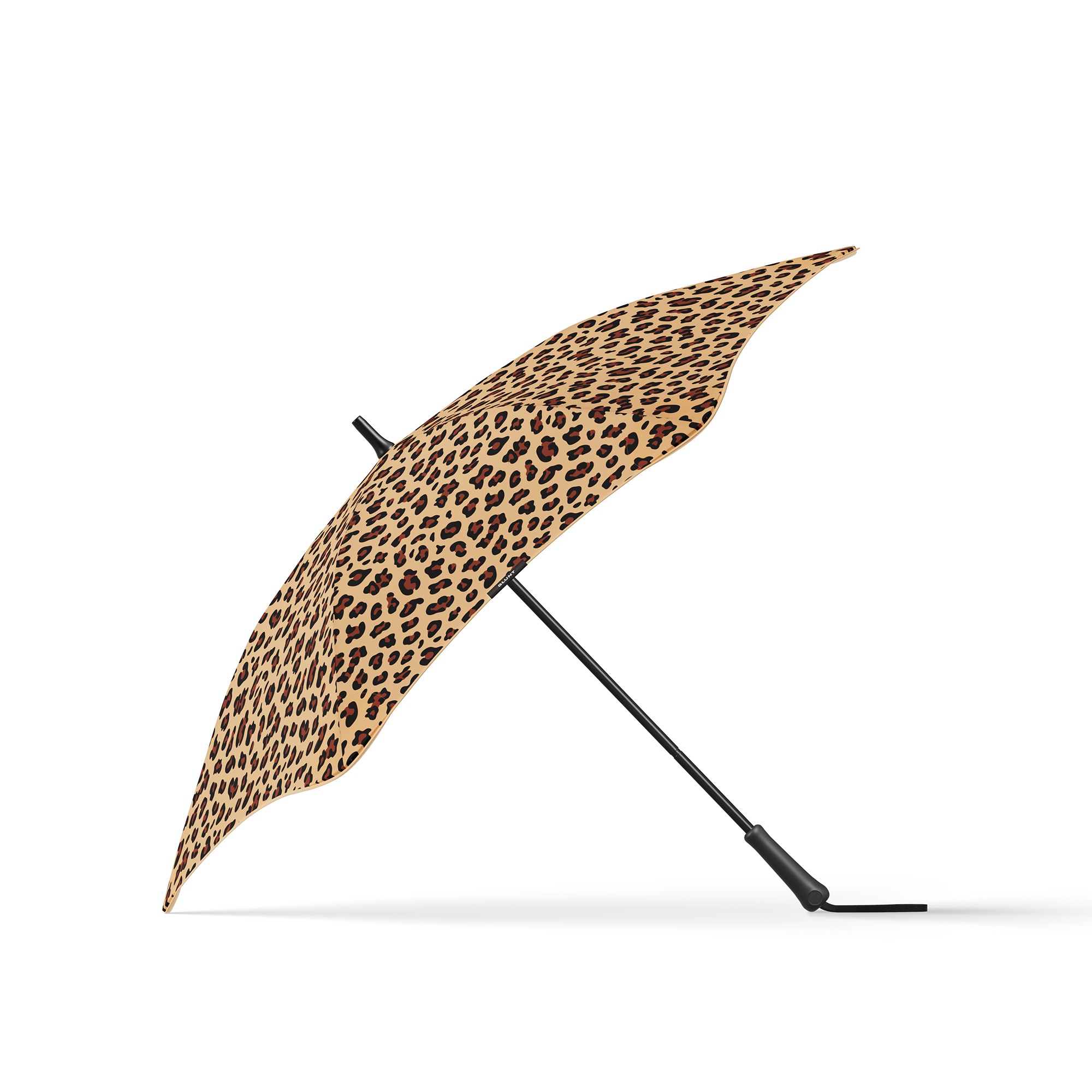 Leopard Safari